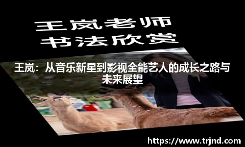 王岚：从音乐新星到影视全能艺人的成长之路与未来展望